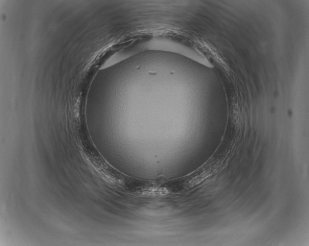 X0000085820543200703301556