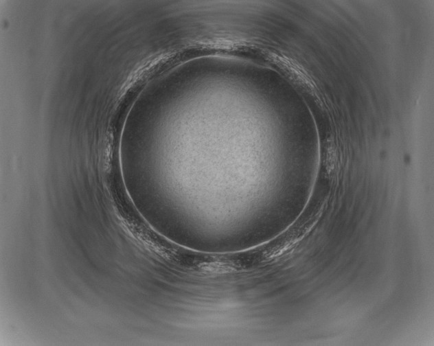 X0000085820544200703301556