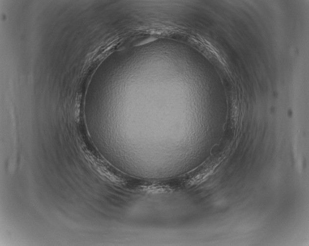 X0000085820545200703301556