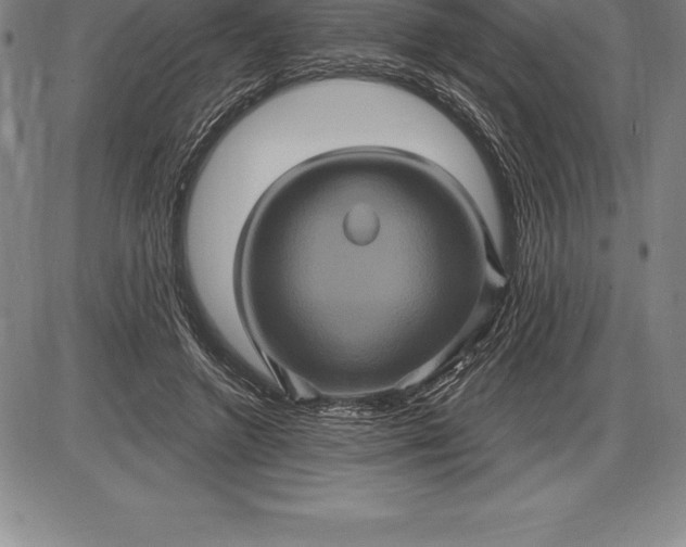 X0000085820546200703301556