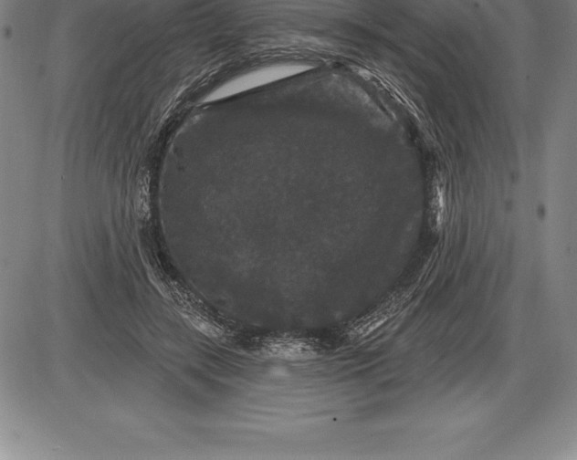 X0000085820547200703301556