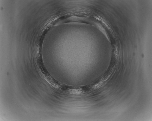 X0000085820548200703301556