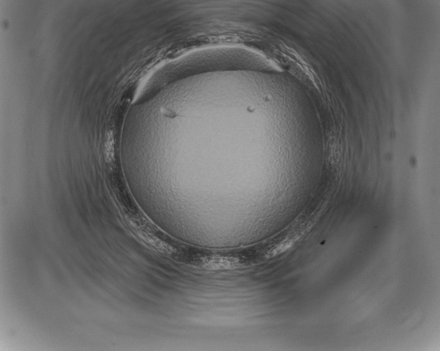 X0000085820549200703301556