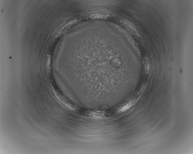 X0000085820550200703301556