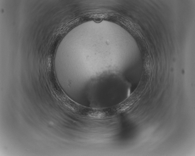 X0000085820551200703301556