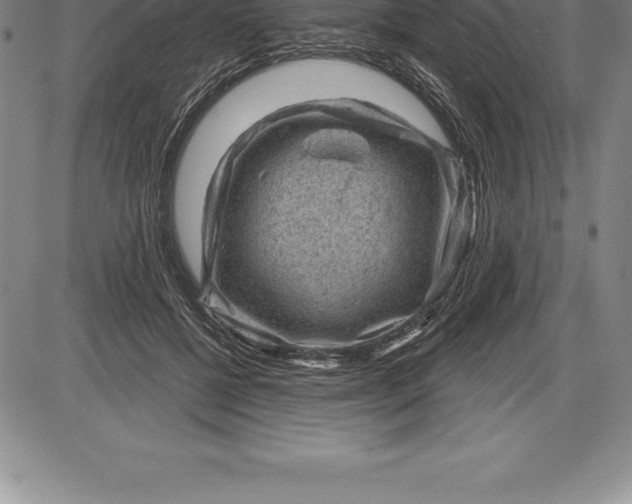 X0000085820552200703301556