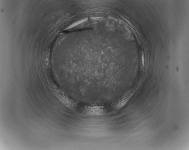 X0000085820553200703301556