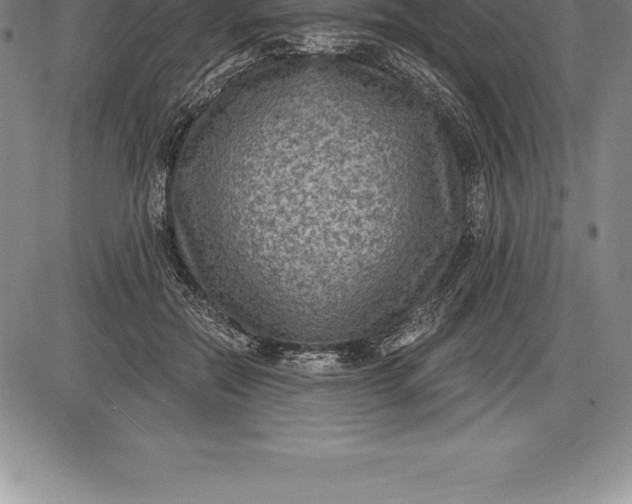 X0000085820554200703301556