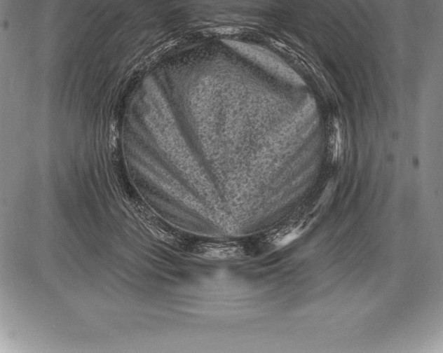 X0000085820555200703301556