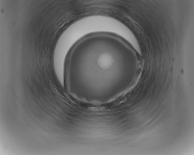 X0000085820556200703301556