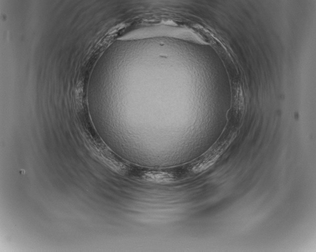 X0000085820557200703301556