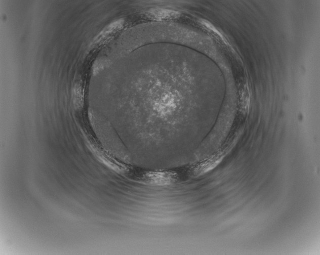 X0000085820558200703301556