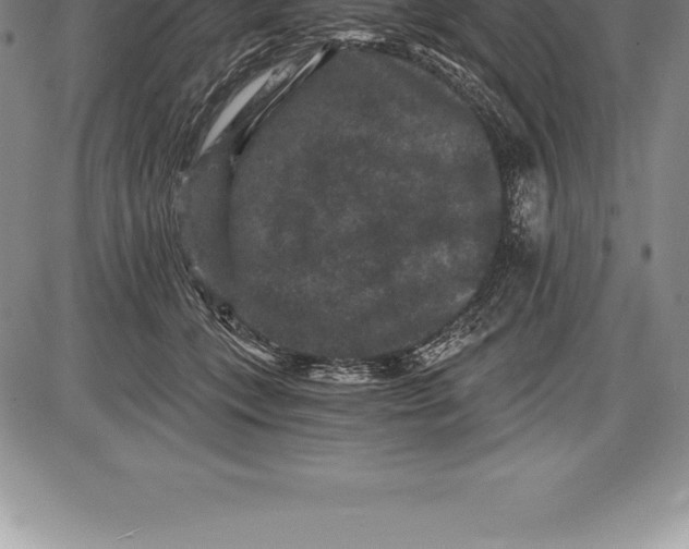 X0000085820559200703301556