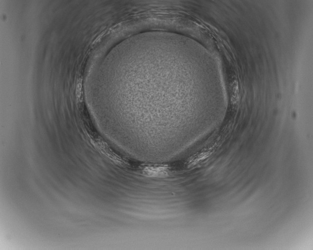 X0000085820560200703301556