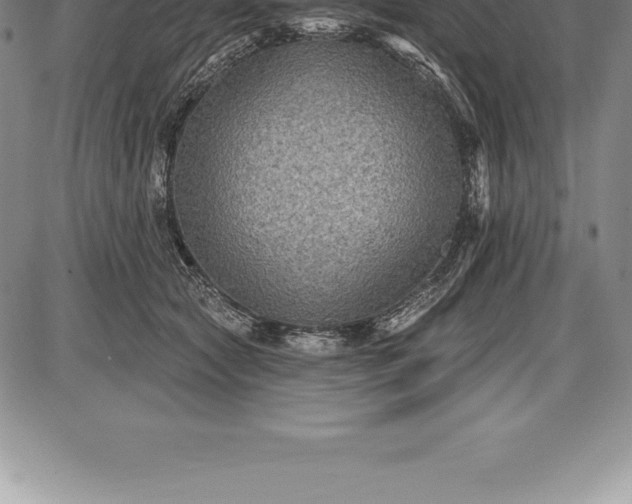 X0000085820561200703301556