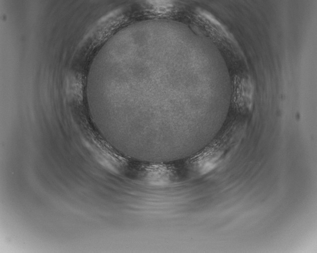 X0000085820562200703301556