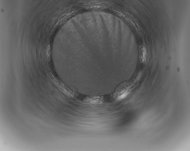 X0000085820563200703301556