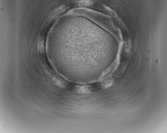 X0000085820564200703301556