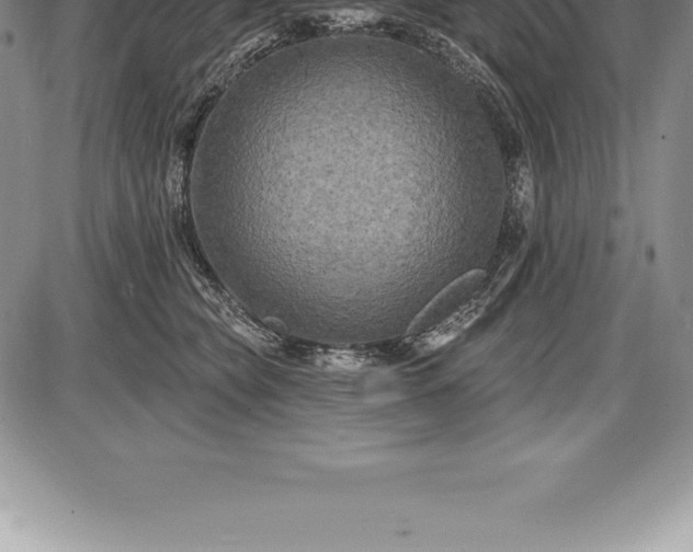 X0000085820565200703301556