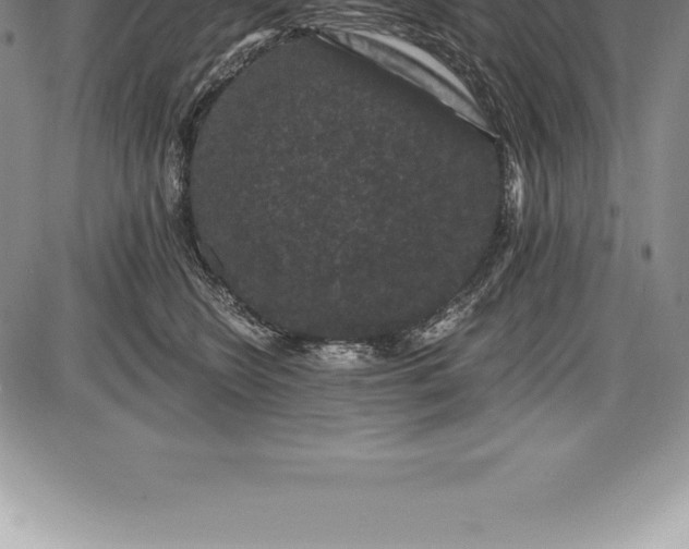 X0000085820566200703301556