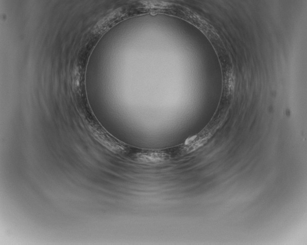 X0000085820567200703301556