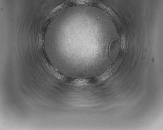 X0000085820569200703301556