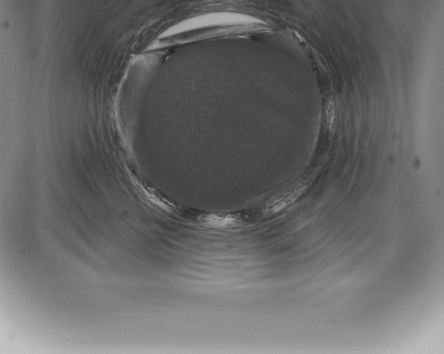 X0000085820570200703301556