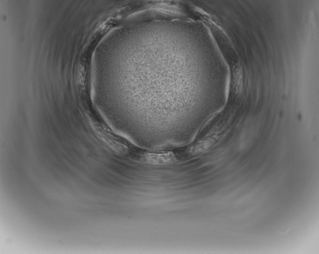 X0000085820571200703301556