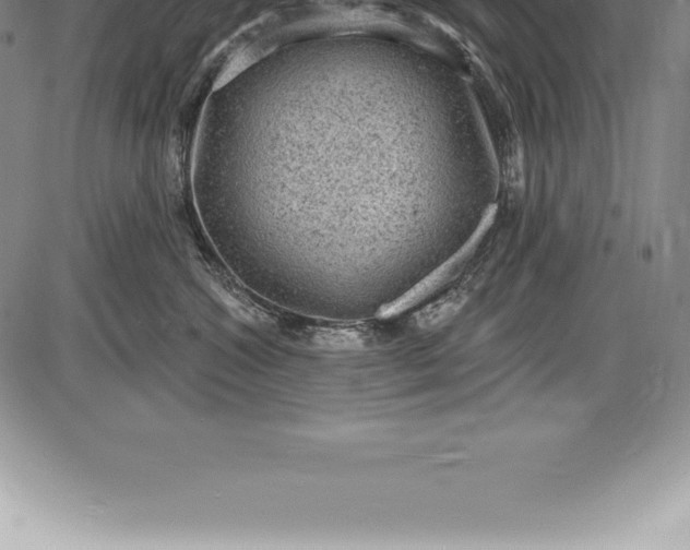 X0000085820572200703301556