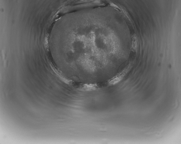 X0000085820573200703301556