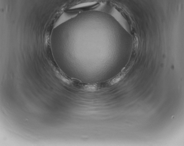 X0000085820574200703301556