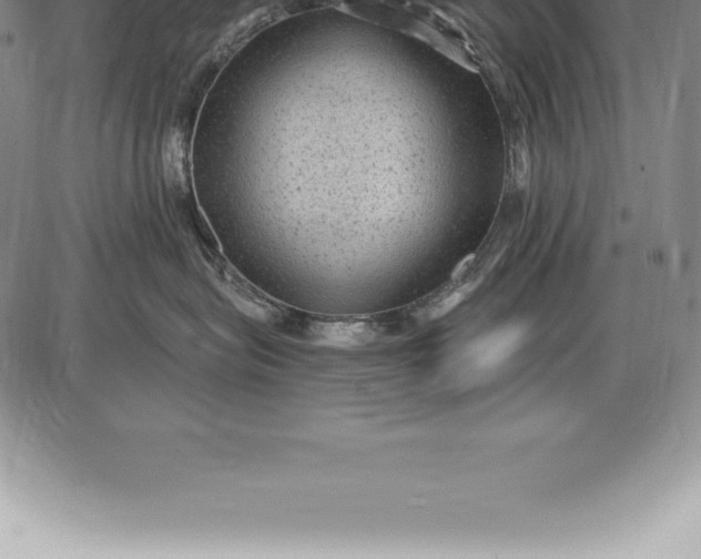 X0000085820575200703301556