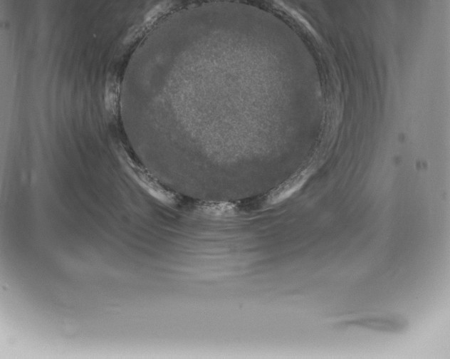 X0000085820576200703301556