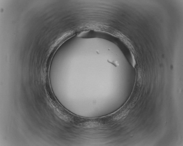 X0000085820578200703301556