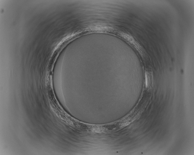 X0000085820579200703301556