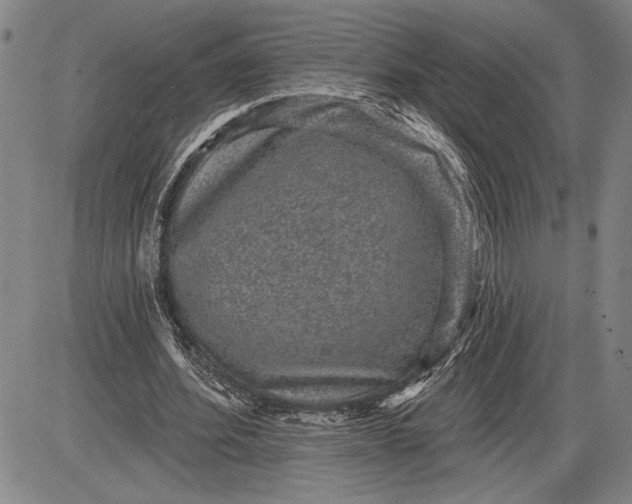 X0000085820580200703301556