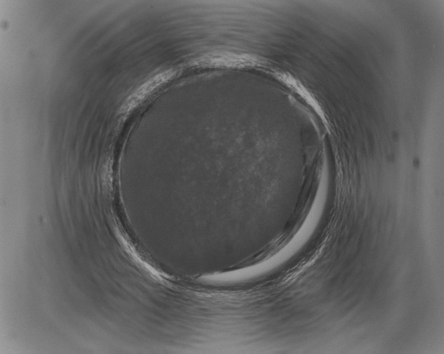 X0000085820581200703301556