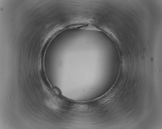 X0000085820582200703301555