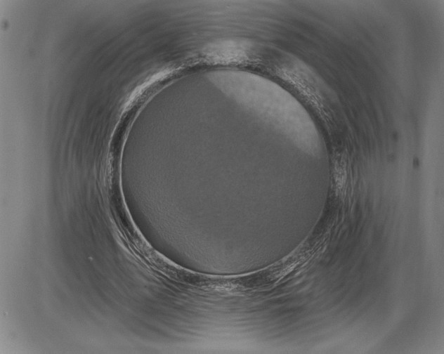 X0000085820583200703301555