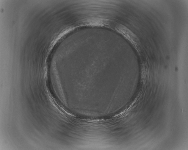 X0000085820584200703301555