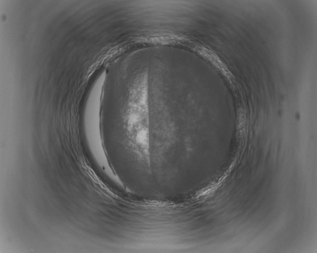 X0000085820585200703301555