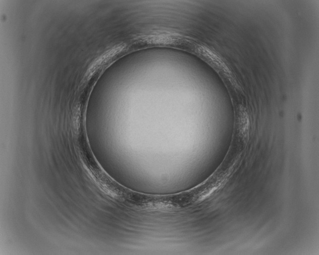 X0000085820586200703301555