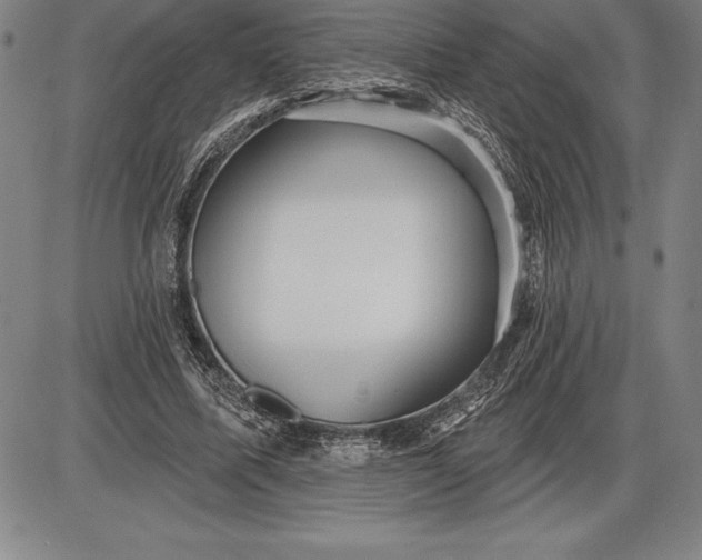 X0000085820587200703301555