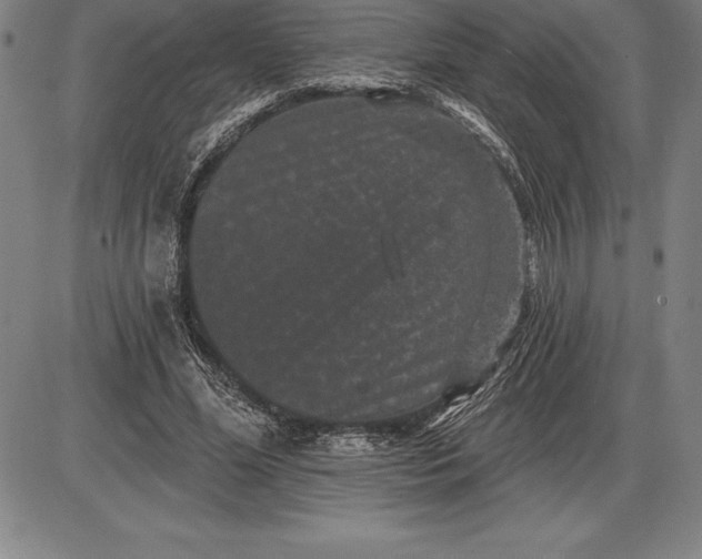 X0000085820588200703301555