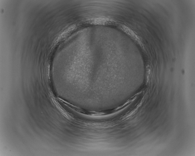 X0000085820589200703301555