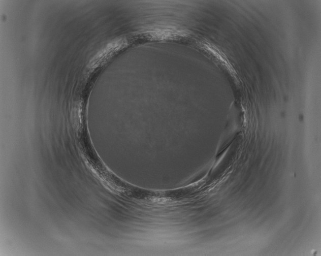 X0000085820590200703301555