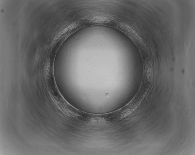 X0000085820591200703301555