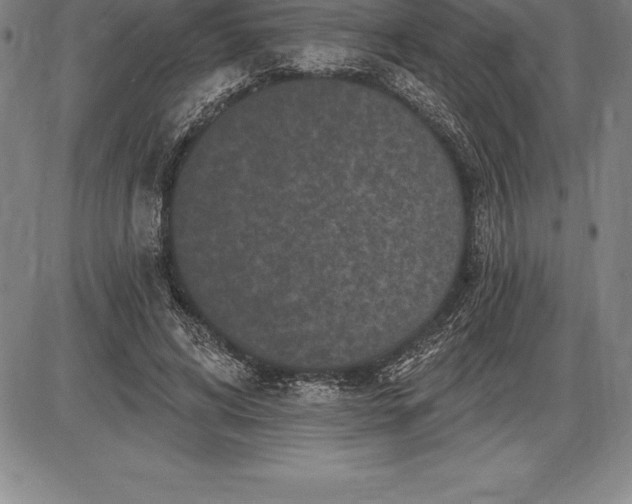 X0000085820592200703301555