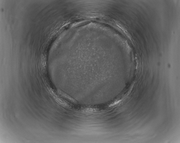 X0000085820593200703301555