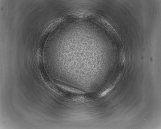 X0000085820594200703301555